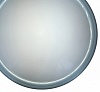 Накладной светильник TopLight Portia TL1128-1Y