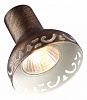 Спот Arte Lamp Focus A5219PL-4BR