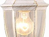 Подвесной светильник Arte Lamp Pegasus A3151SO-1WG