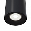 Накладной светильник Maytoni Alfa C012CL-01B