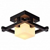 Накладной светильник Arte Lamp Woods A8252PL-1CK