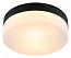 Накладной светильник Arte Lamp Aqua-Tablet A6047PL-2BK