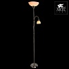 Торшер с подсветкой Arte Lamp Duetto A9569PN-2SS