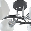 Люстра на штанге TopLight Lia TL7380X-04BC