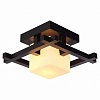 Накладной светильник Arte Lamp Woods A8252PL-1CK