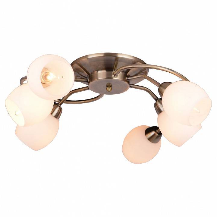 Потолочная люстра Arte Lamp Silvana A4033PL-6AB