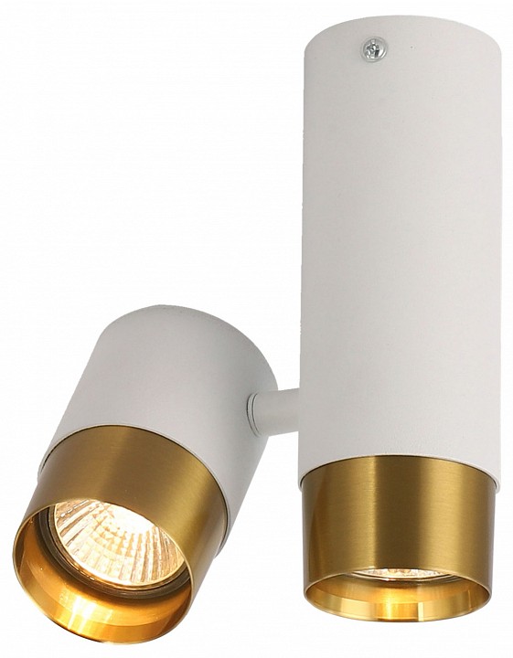 Накладной светильник Lussole Gilbert LSP-8829