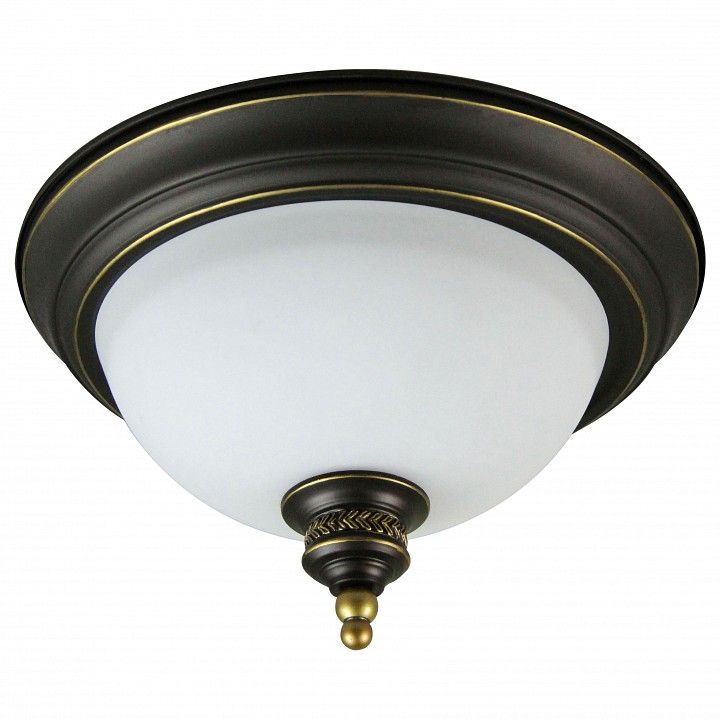 Накладной светильник Arte Lamp Bonito A9518PL-2BA