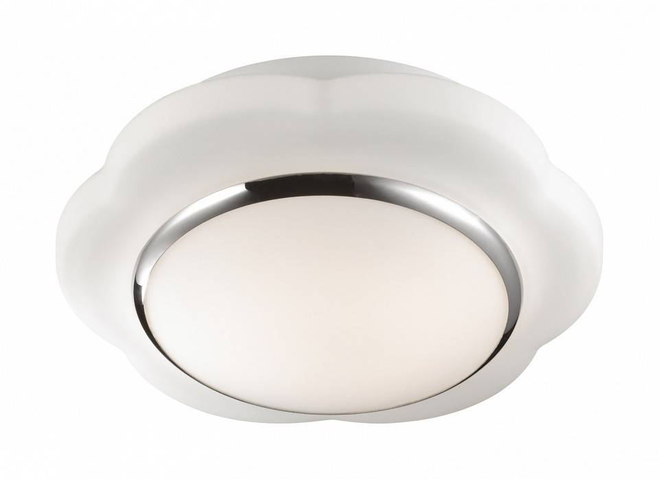 Накладной светильник Odeon Light Baha 2403/1C