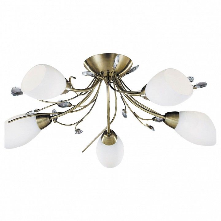 Потолочная люстра Arte Lamp Gardenia A2766PL-5AB