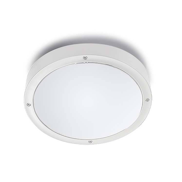 Настенно-потолочный светильник LEDS C4 Basic 15-9835-14-CM
