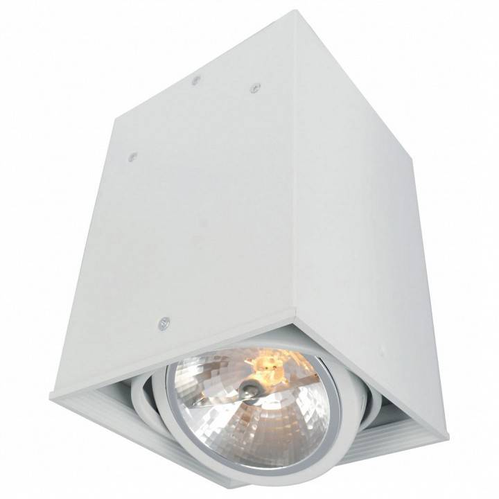 Накладной светильник Arte Lamp Cardani A5936PL-1WH