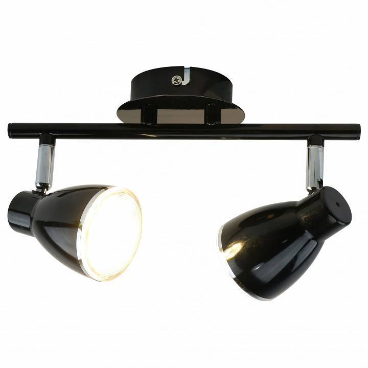 Спот Arte Lamp Gioved A6008PL-2BK