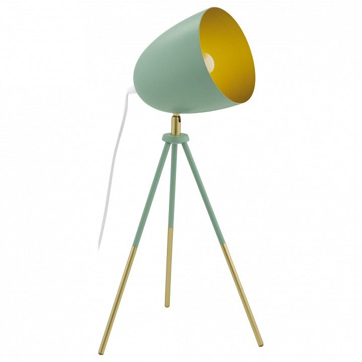 Настольная лампа декоративная Eglo Chester-P 49047