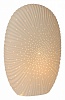 Настольная лампа декоративная Lucide Shelly 13527/33/31