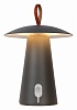 Настольная лампа декоративная Lucide La Donna 27500/02/29