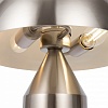 Настольная лампа декоративная Freya Eleon FR5218TL-02N