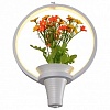 Подвесной светильник Escada Flower 10213/S LED