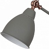 Настольная лампа офисная Arte Lamp Braccio A2054LT-1GY