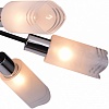 Потолочная люстра TopLight Sabina TL3680X-06BC