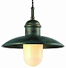 Подвесной светильник Arte Lamp Passato A9255SP-1BG