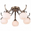 Потолочная люстра TopLight Olivia TL3750X-05AB