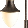 Наземный высокий светильник Arte Lamp Vienna A1317PA-1BN