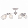 Люстра на штанге IDLamp 874 874/4PF-Whitepatina