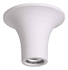 Накладной светильник Odeon Light Gips 3552/1C