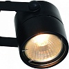 Бра Arte Lamp Lente A1310AP-1BK