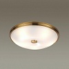 Накладной светильник Odeon Light Pelow 4956/5