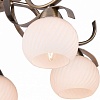 Потолочная люстра TopLight Olivia TL3750X-05AB