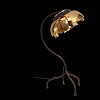 Настольная лампа декоративная ST-Luce Loto SL817.424.01