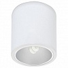 Накладной светильник Nowodvorski Downlight White 4866