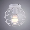 Накладной светильник Arte Lamp 1110 A1110PL-1WH