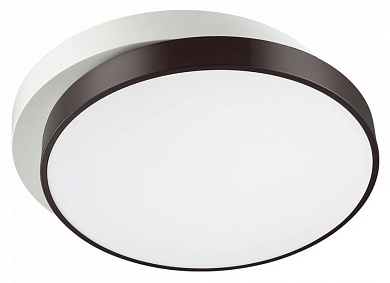 Накладной светильник Lumion Agatha 4509/72CL