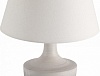 Настольная лампа декоративная ST-Luce Tabella SL990.504.01