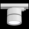 Накладной светильник Maytoni Track lamps 2 TR007-1-12W4K-W