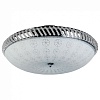 Светильник на штанге TopLight Candis TL1472Y-05GC