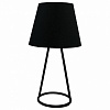 Настольная лампа декоративная Lussole LGO LSP-9904