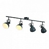 Спот Arte Lamp Martin A5215PL-4BG