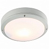 Накладной светильник Arte Lamp City A8154PF-2GY