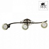 Спот Arte Lamp Focus A5219PL-3BR