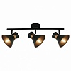 Спот Arte Lamp Baltimore A1406PL-3BK