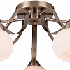 Потолочная люстра TopLight Olivia TL3750X-05AB