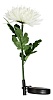 Декоративный светильник Feron Flower batt 06233