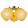 Потолочная люстра ST-Luce Arancio SL482.902.05