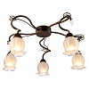 Потолочная люстра Arte Lamp Glamore A7449PL-5BR