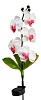 Декоративный светильник Feron FLOWERS SUNBATT 06258