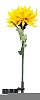 Декоративный светильник Feron FLOWERS SUNBATT 06239